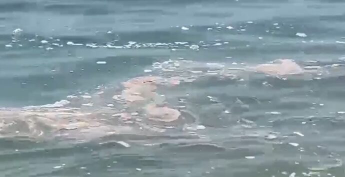 Mare sporco, Arpacal installa 100 campionatori su tutta la costa calabrese: «C’è tanto da fare»