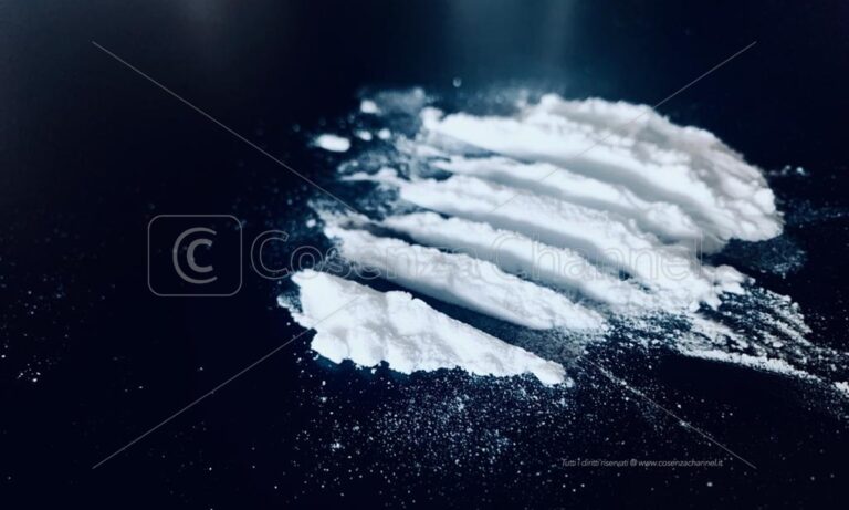 ‘Ndrangheta, 36 arresti e 4 tonnellate di cocaina sequestrate