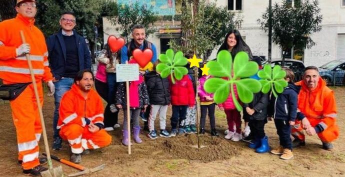 Giornata degli alberi, i piccoli alunni della “Kinder Haus” di Cosenza danno il loro contributo