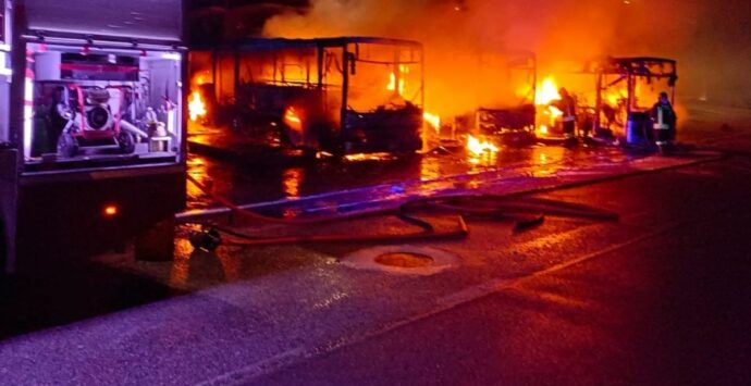 Diamante, tre autobus in fiamme nella notte in piazza Caravaggio | VIDEO