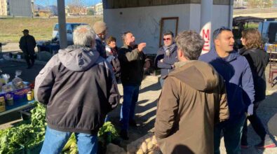 Cosenza, i contadini di Vaglio Lise: «Gli spazi sono ok, ma la gente non sa che ci siamo» | VIDEO