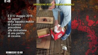 Arresti a Cosenza, ecco come fu distrutta la cocaina sequestrata a Strangio | VIDEO