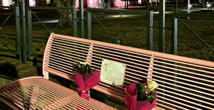 Rende, una panchina rosa a sostegno della lotta al cancro | VIDEO