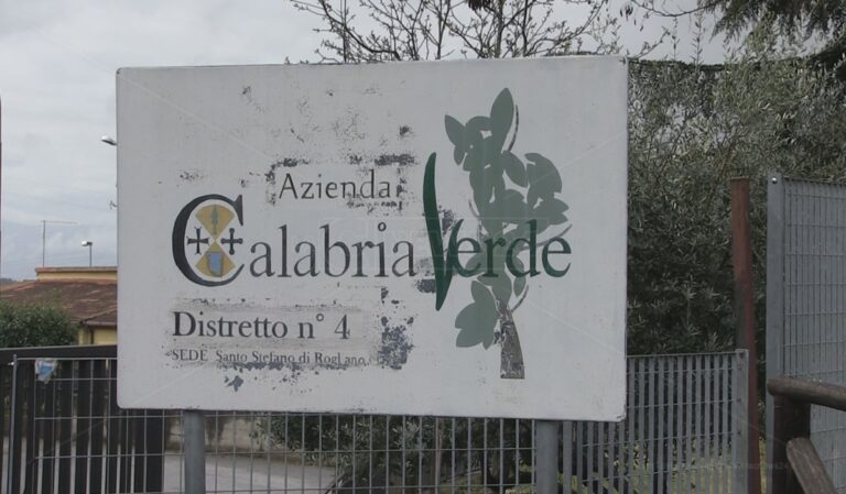 Cosenza, l’Ugl chiede la stabilizzazione dei precari di Calabria Verde
