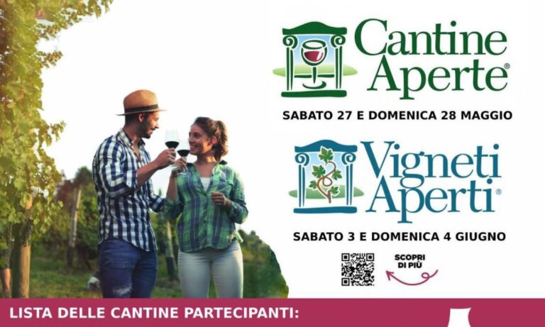 Mtv Calabria, ritorna “Cantine aperte” lo storico appuntamento per gli amanti del vino