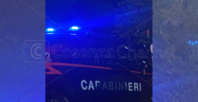 Droga, operazione dei Carabinieri tra Cosenza e la Sicilia. 14 misure cautelari