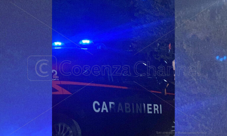Droga, operazione dei Carabinieri tra Cosenza e la Sicilia. 14 misure cautelari