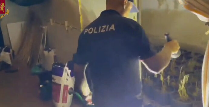 Fiumi di droga a Santa Sofia D’Epiro, arrestati quattro spacciatori | VIDEO