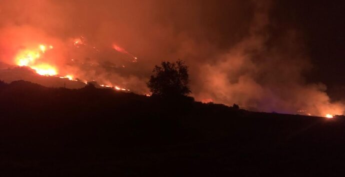 Inferno sul Pollino, domato dopo tre giorni il rovinoso incendio