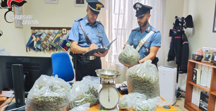 Lattarico, arrestato un uomo che nascondeva 5,8 Kg di marijuana