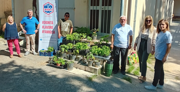 Cosenza, detenuti coltivano erbe aromatiche e le donano al centro anziani di Via Popilia