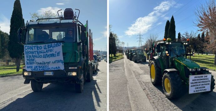La protesta degli agricoltori silani arriva a Cosenza e Rende: «Così non reggiamo più» | VIDEO