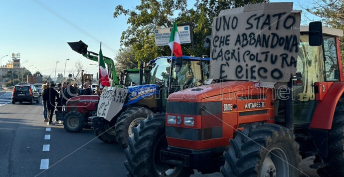 Crisi agricola nella Sibaritide: L’appello accorato dei produttori